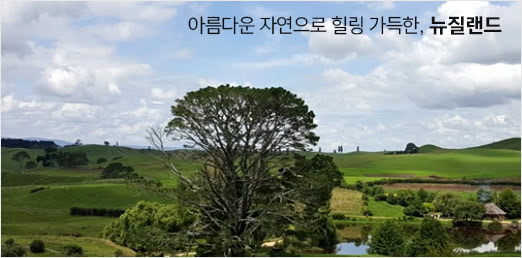 뉴질랜드